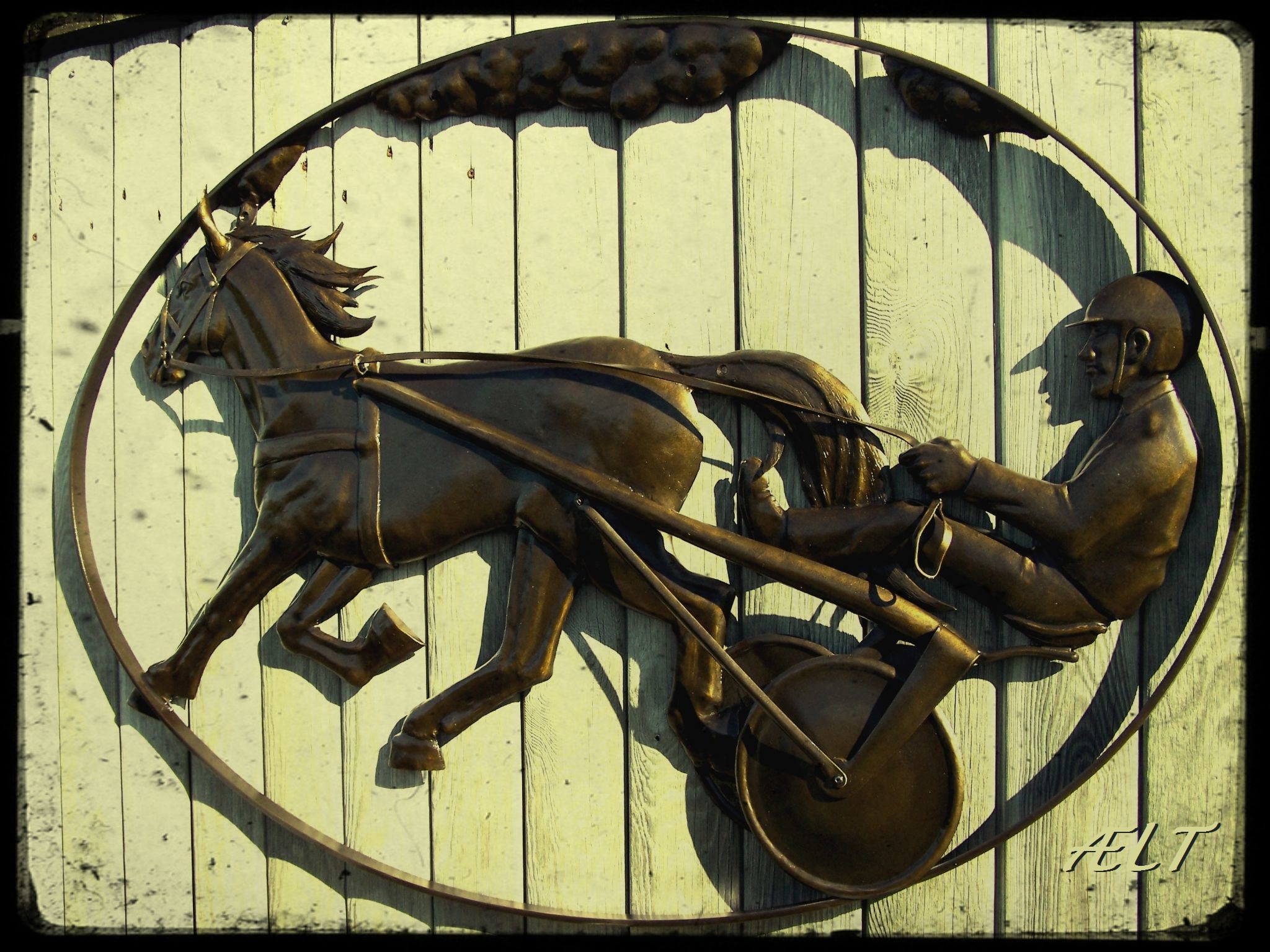 Dafrennen, draver, sulky